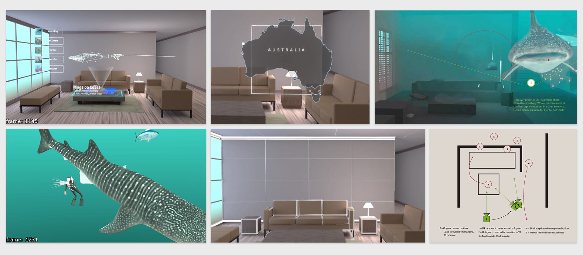 Animation First Look